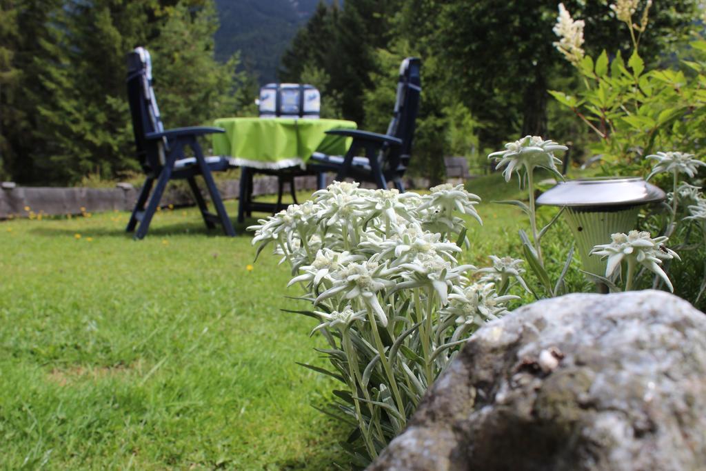 Haus Almrausch Hotel Seefeld in Tirol Esterno foto